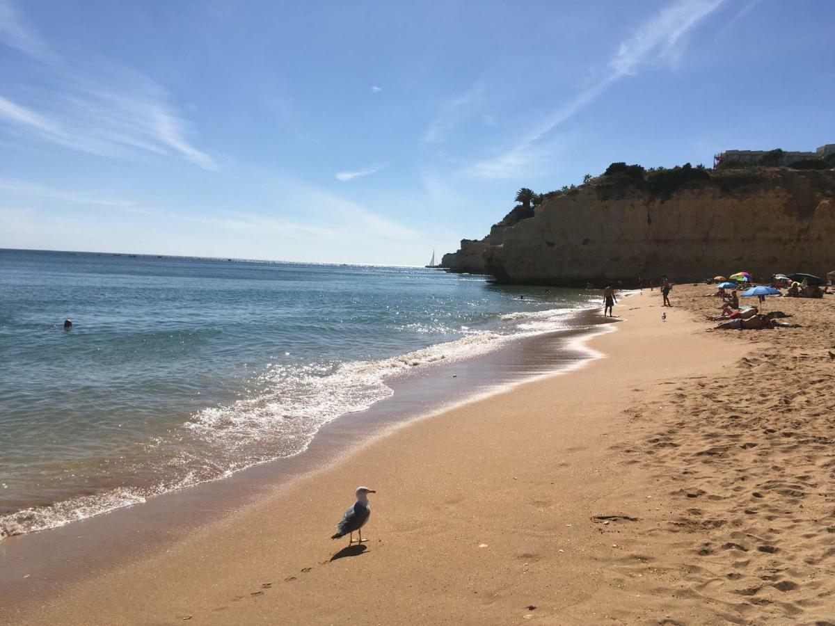 Paderne - Solar Dos Mouros * Porches (Algarve)
