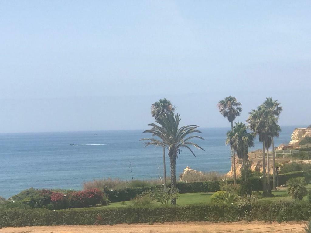 Torre Mar *