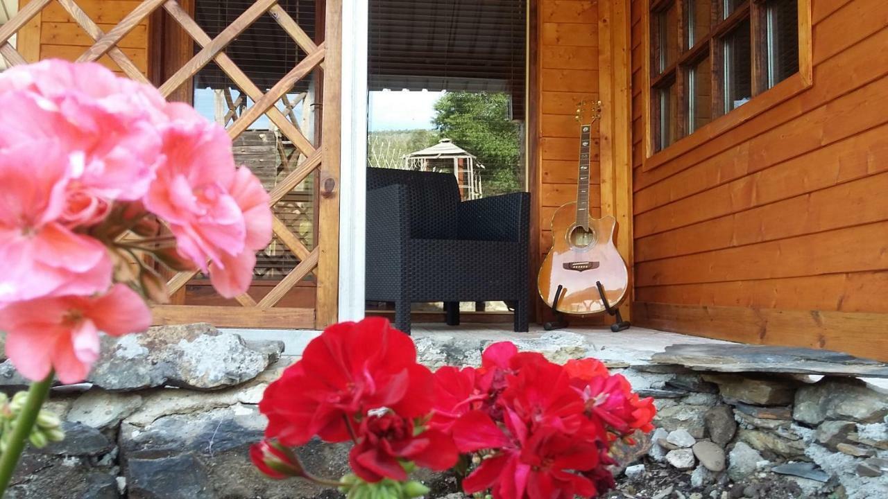 Farm stay Casa Do Ourico Figueiro Dos Vinhos