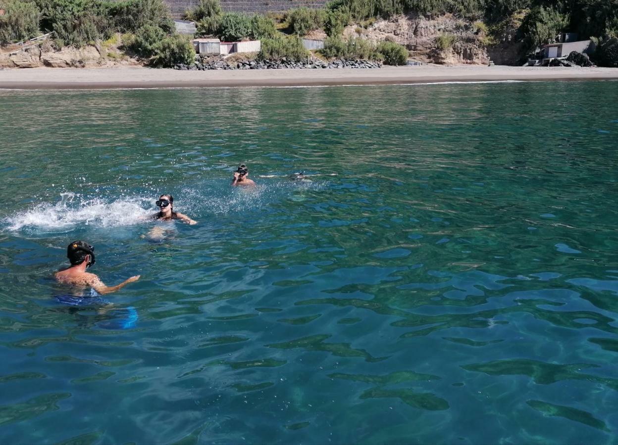 Casa Da Adega Holiday home