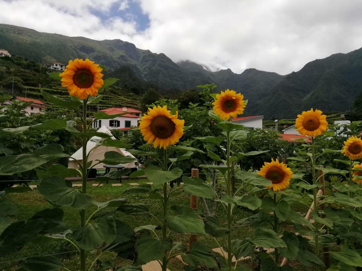 Granny's Farm * Sao Vicente (Madeira)