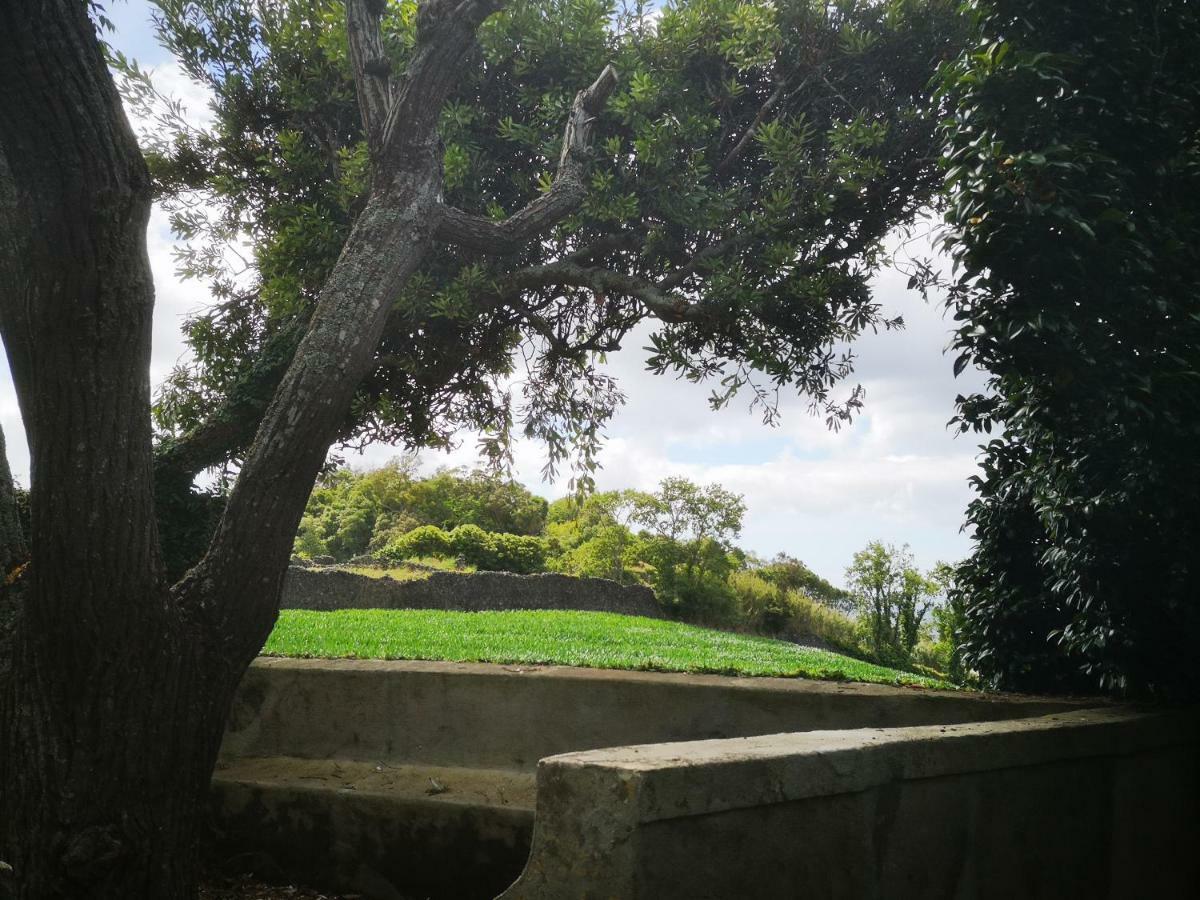 Apartamento Quinta Camélias - Açores *