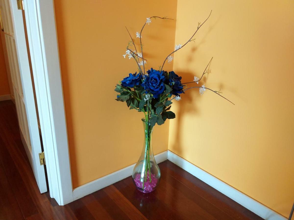 Lido Belissimo Apartamento Funchal (Madeira)