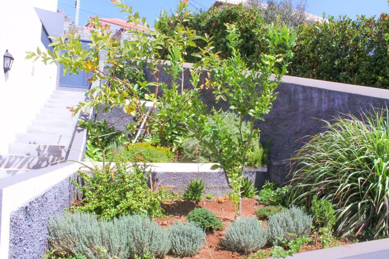 Apartment Two | Massapez | | Calheta *