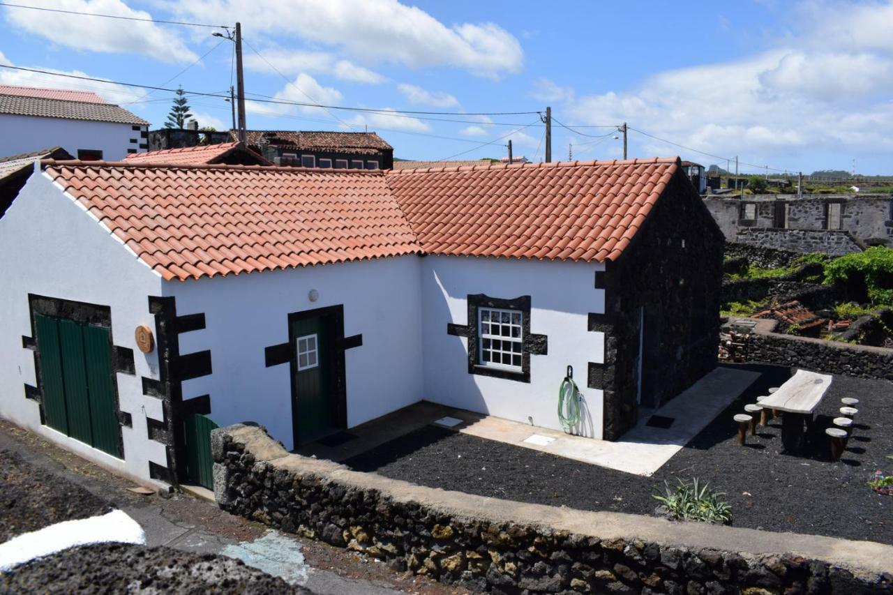 Casinha Da Avo Jeronima Rral 1519 Holiday home *