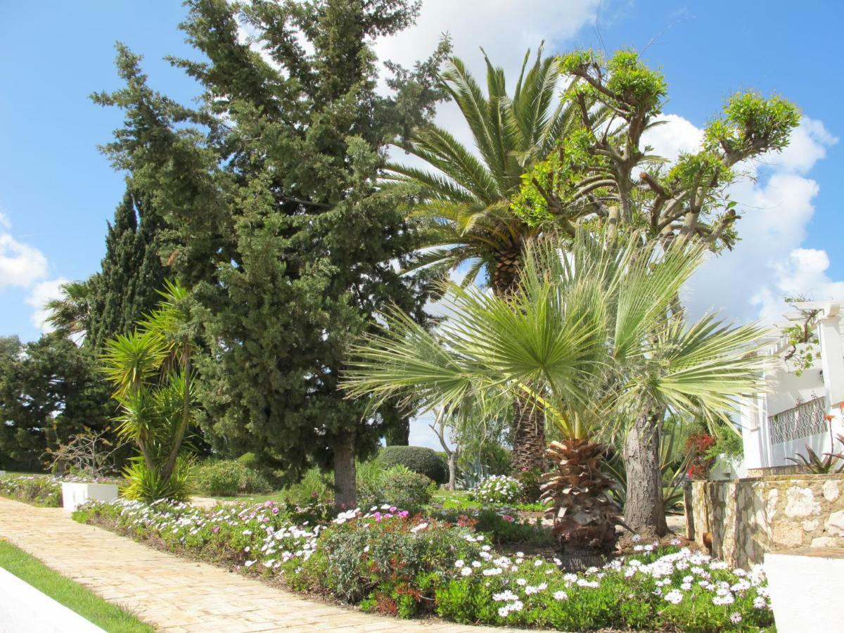 Casa Beachcomber Le Jardin Des Arts Appartement Lagos