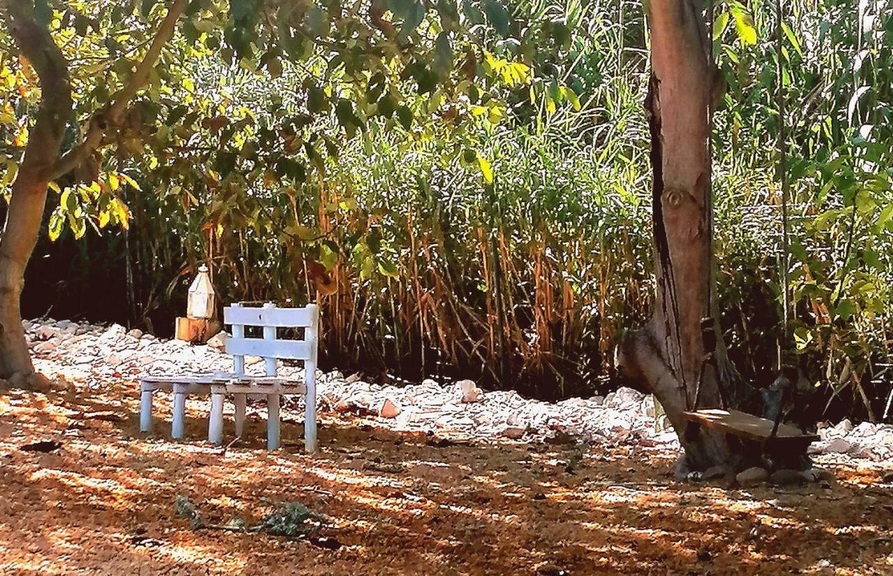 Quinta Do Meco - & Nature