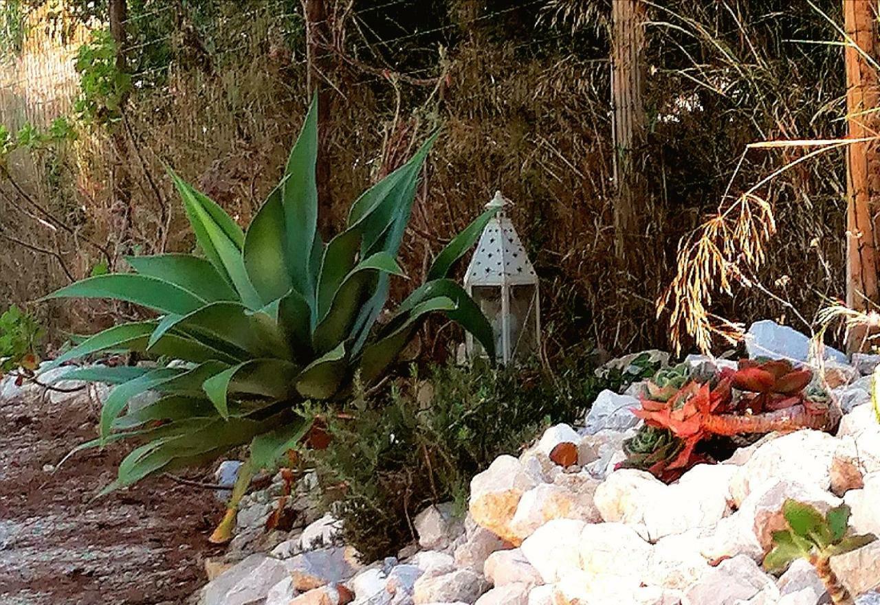Quinta Do Meco - & Nature