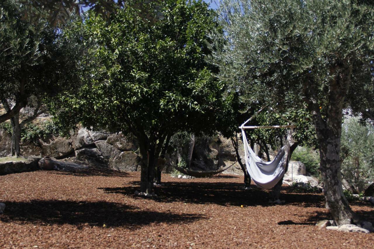 Country house Pedra Nova Castelo Novo
