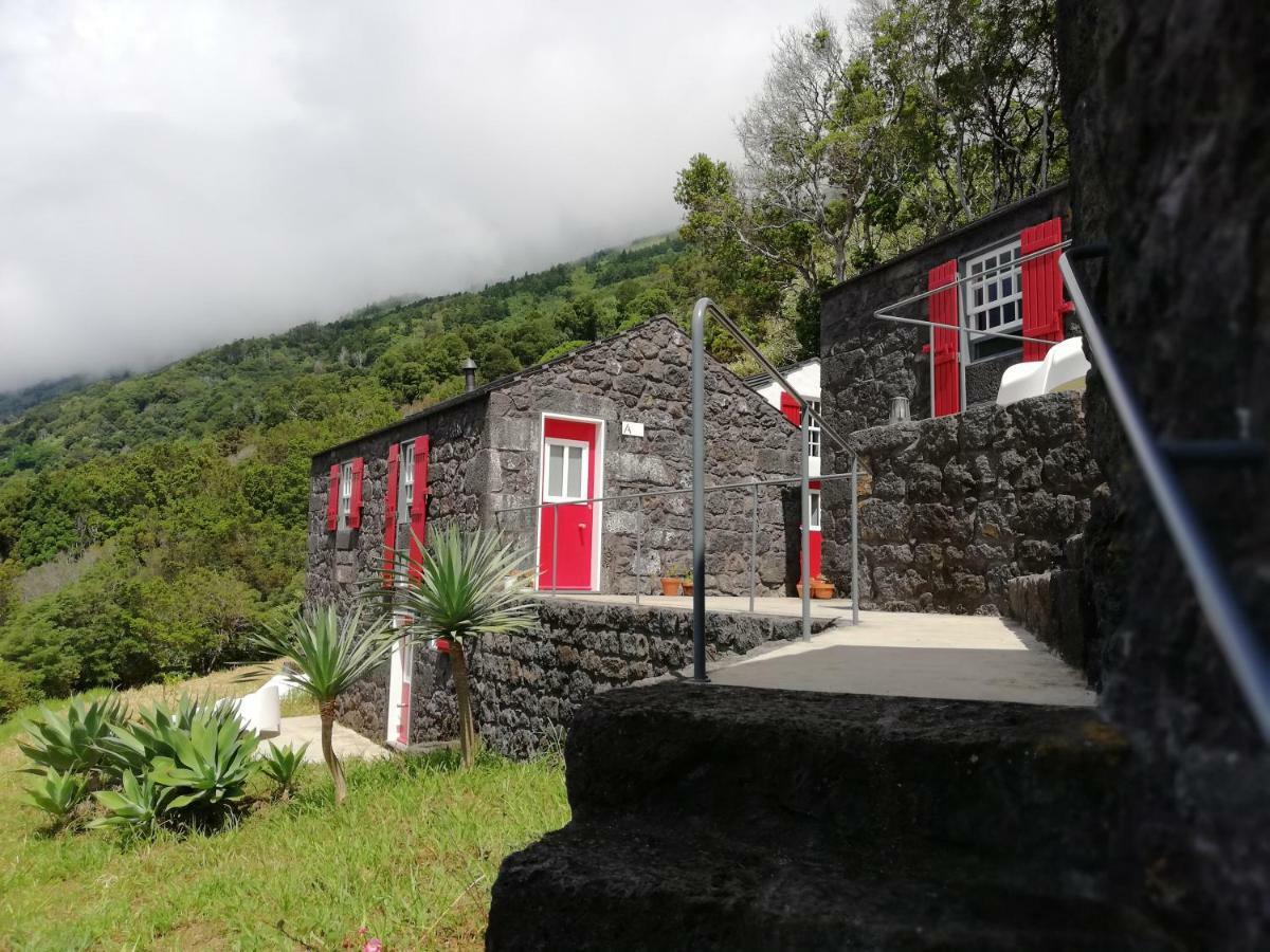 Casas De Incensos *