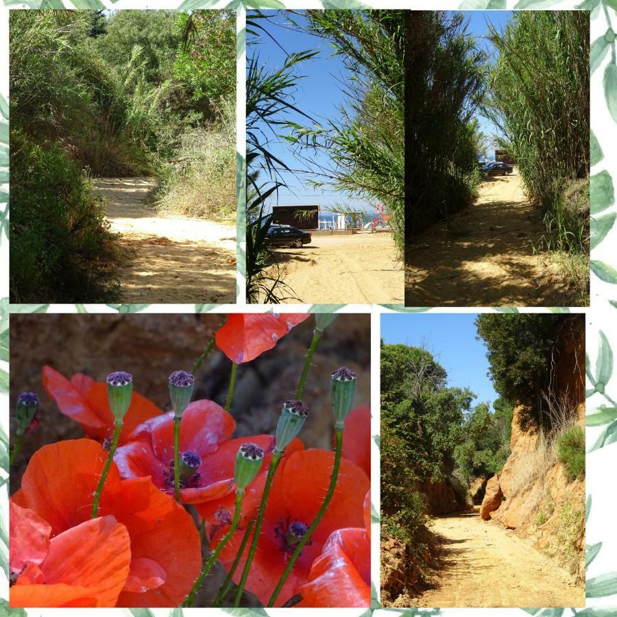 Holiday home Maria Luisa Albufeira
