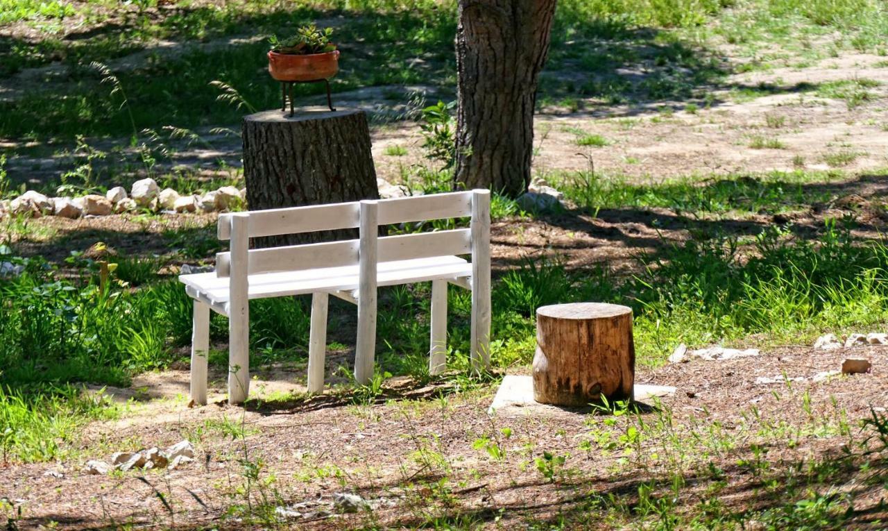 Quinta Do Meco - & Nature Country house