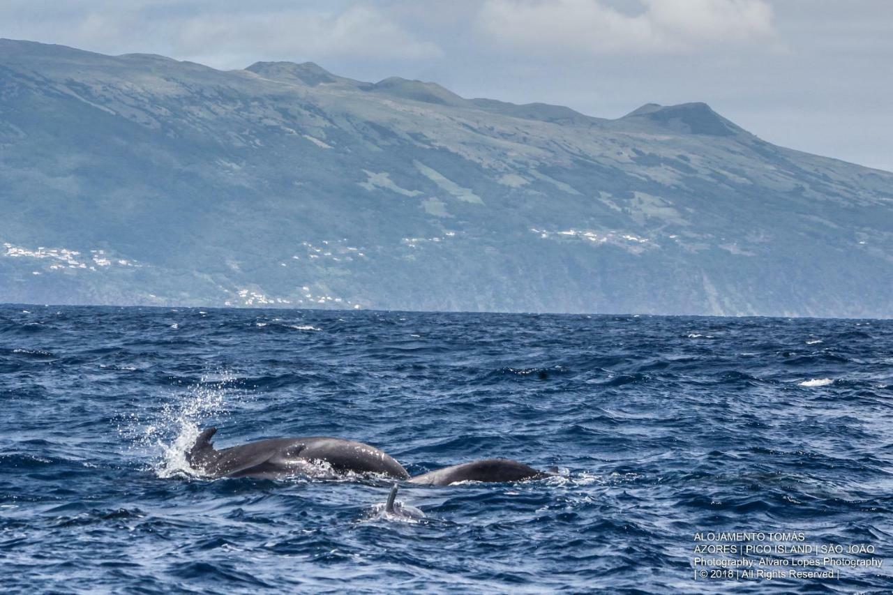Tomas - Oceanview * Sao Joao (Pico Island)
