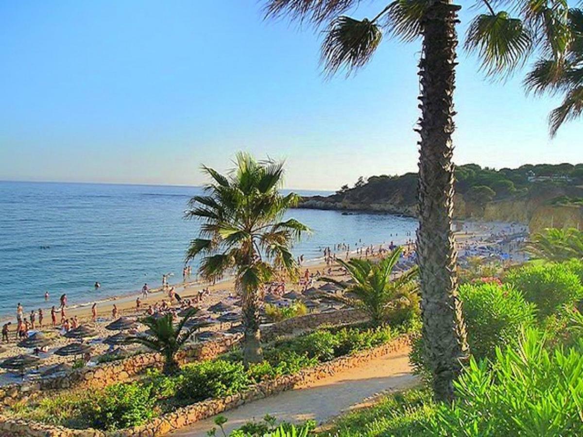 Villa Luxury Pescadinha Near Beach,