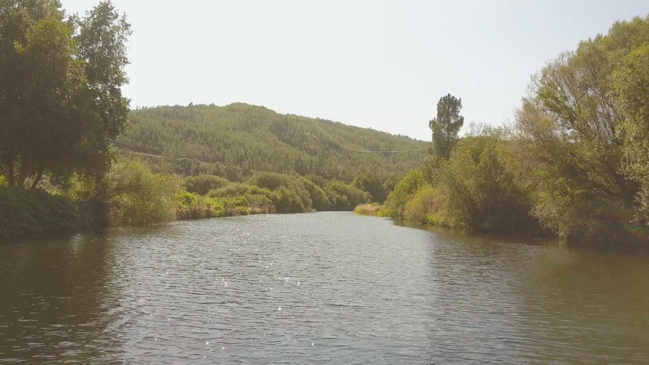 Casa de hóspedes Do Pinhal