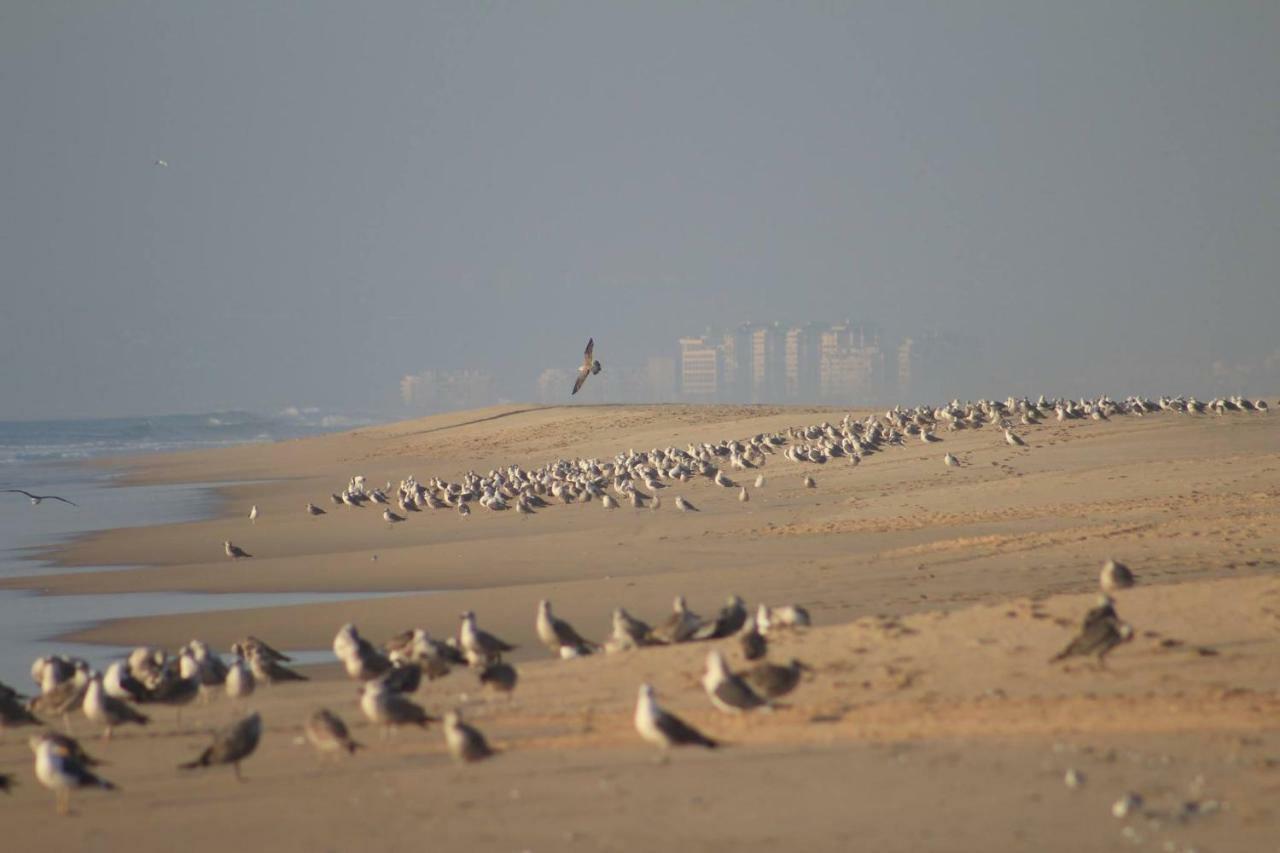 Sea & Apartamento *