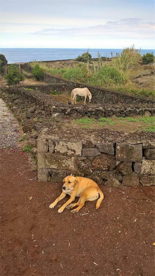 Quinta Da Falesia - Casa Amarela Holiday home Ponta Delgada (Sao Miguel)