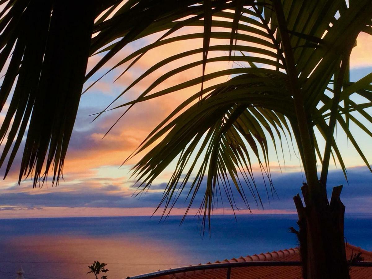 Casa Lira Holiday home Arco da Calheta (Madeira)
