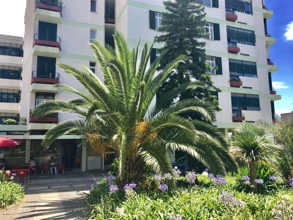 Apartment Marina View With Parking Free Funchal (Madeira)