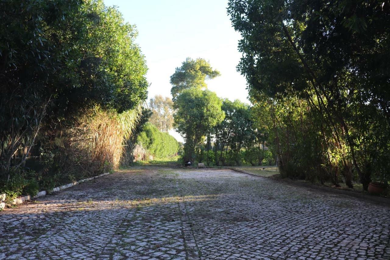 Jardim & Ria Cabanas De Tavira