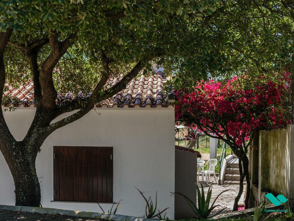 Casa Pinhal Da Giralda Holiday home Mafra