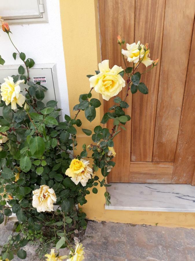 Casa D'avo * Miranda do Corvo