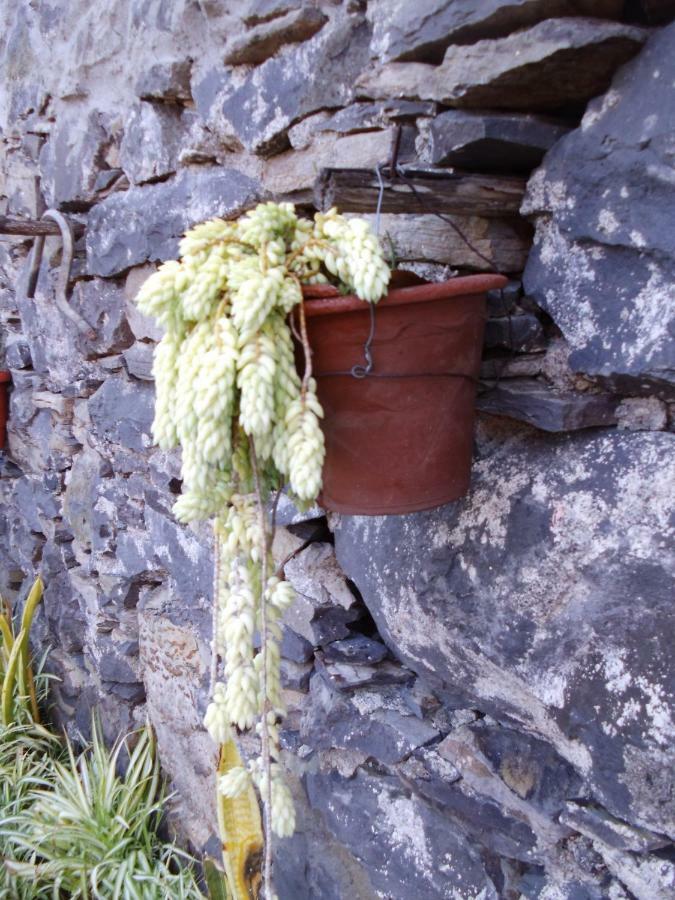 Madeira-meerblick-haus