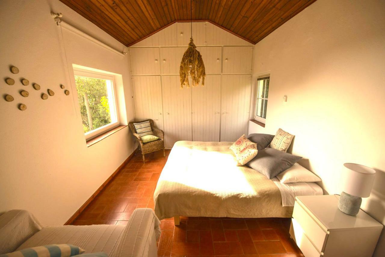 Сasa de vacaciones A House In The Woods *