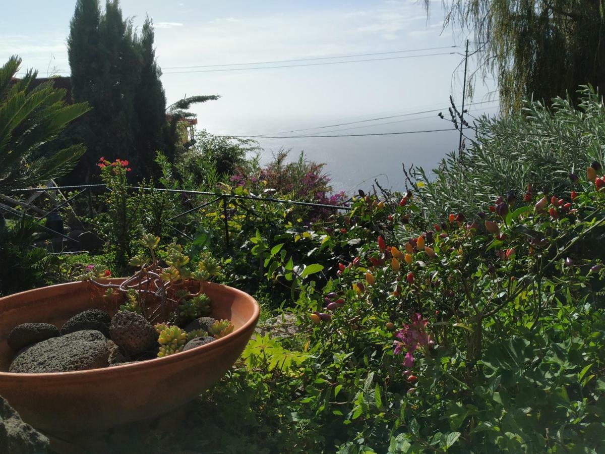 Magro's House Arco da Calheta (Madeira)