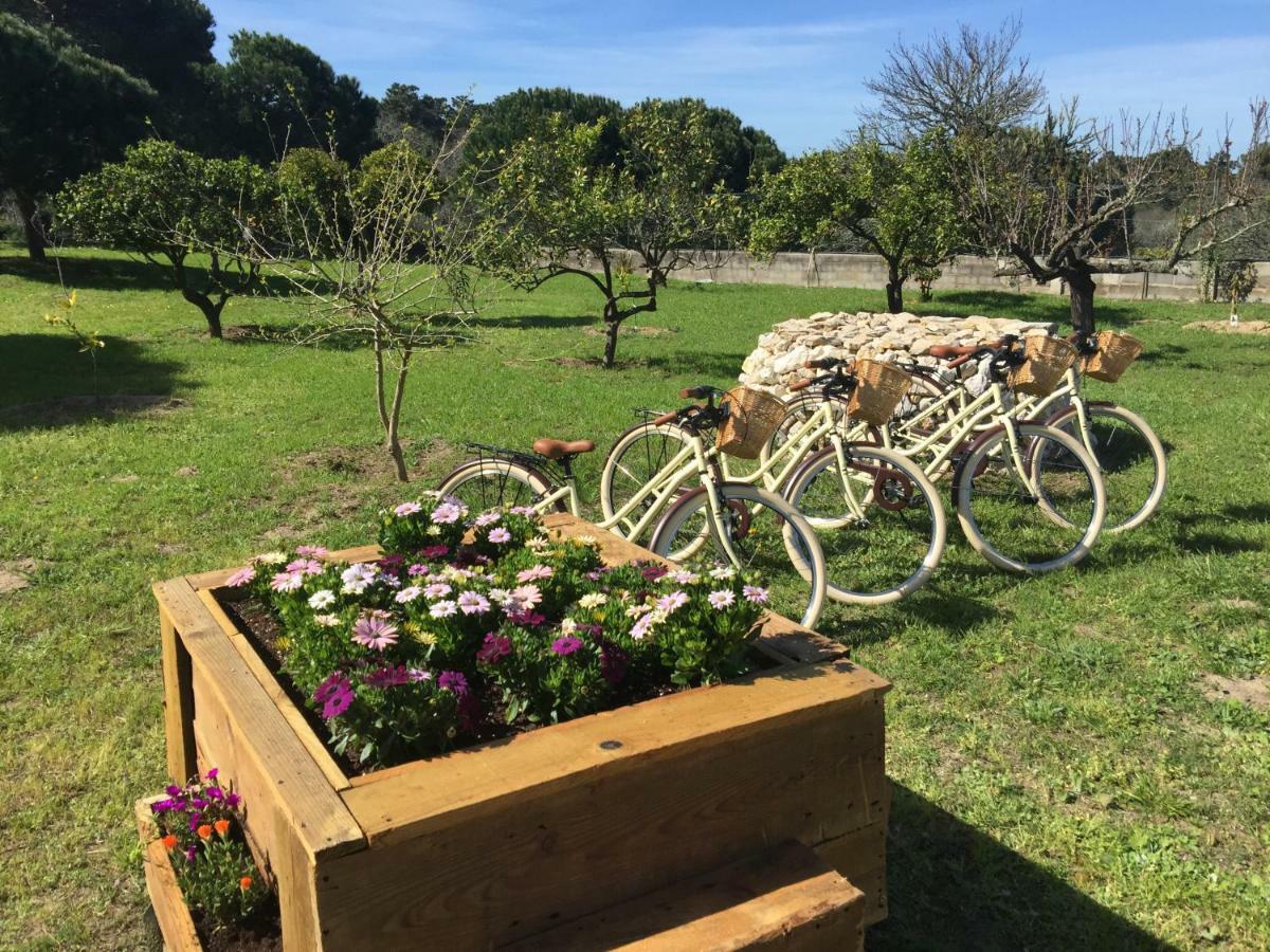 Quinta Do Meco - & Nature Country house *