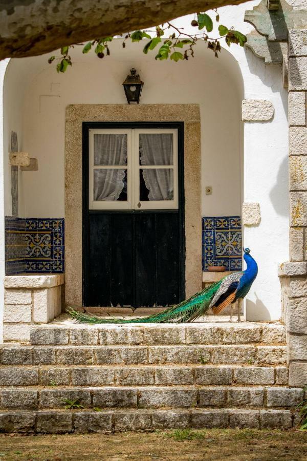 Farm stay Quinta Da Foz *