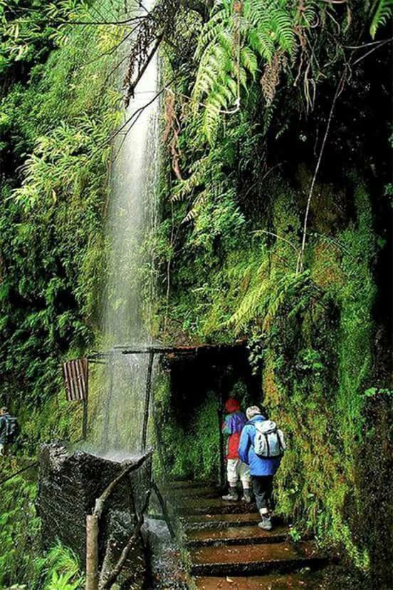 Charming In Funchal - Sao Goncalo Funchal (Madeira)