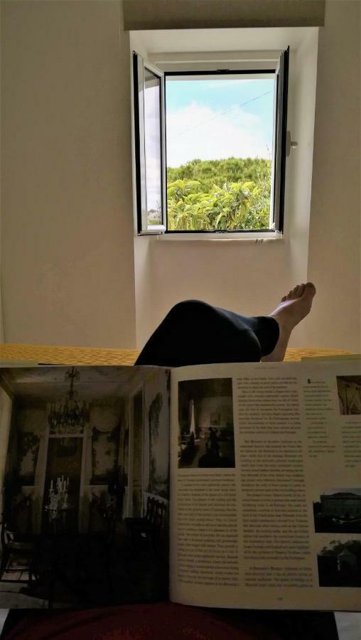 Golden Cliff House Apartment