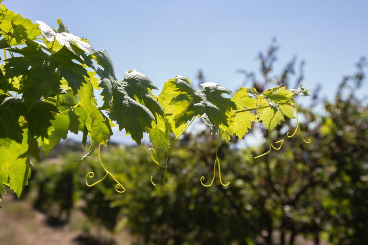 Guest house Quinta Da Estrada Winery Douro Valley 4*