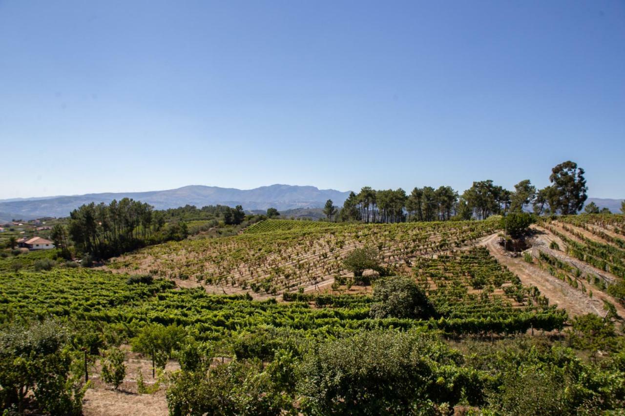 Quinta Da Estrada Winery Douro Valley Peso da Regua