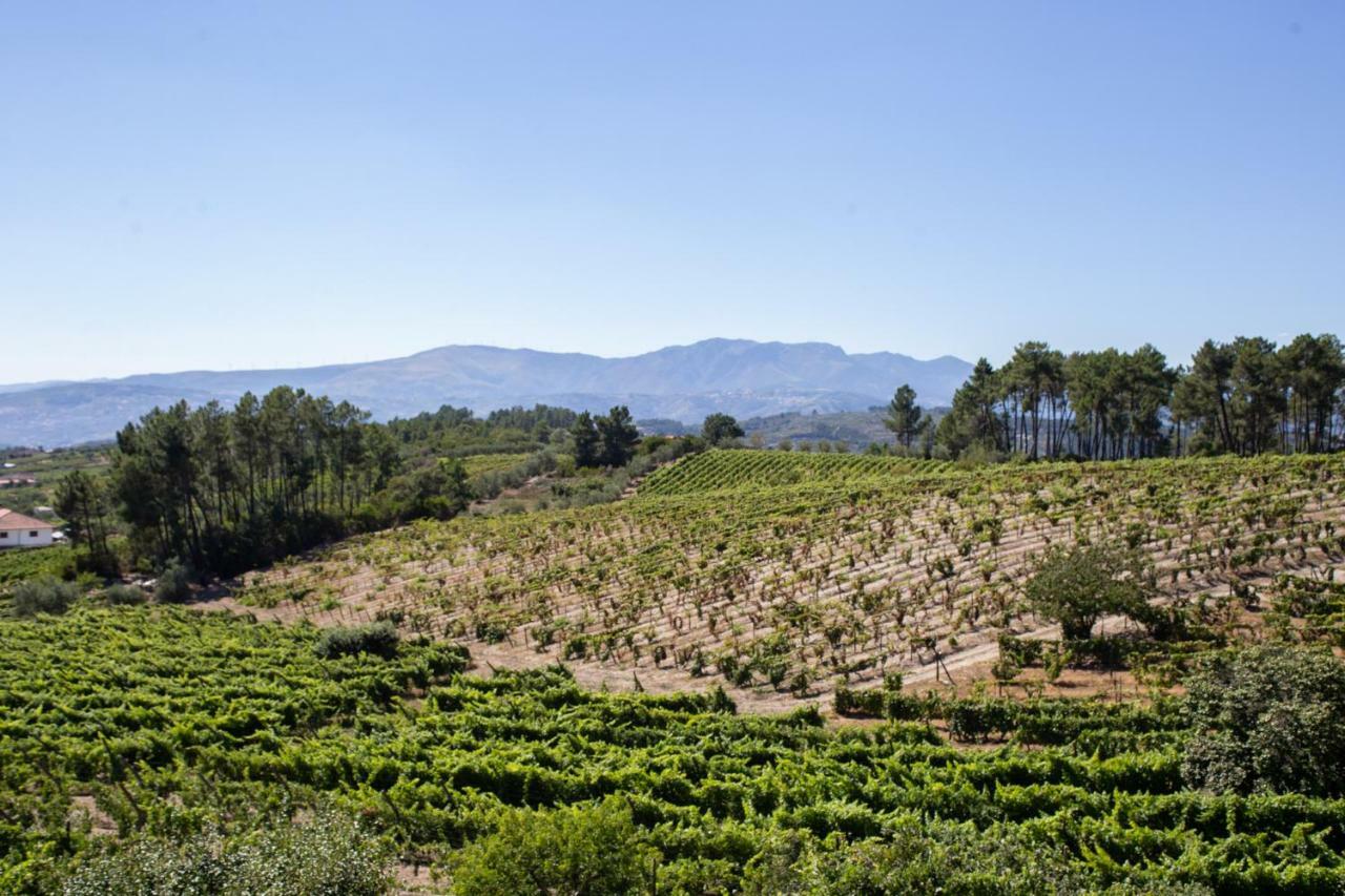 Guest house Quinta Da Estrada Winery Douro Valley Peso da Regua