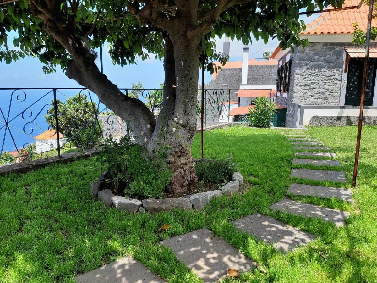 Casa Velha D Fernando E Casa Avo Augusta *