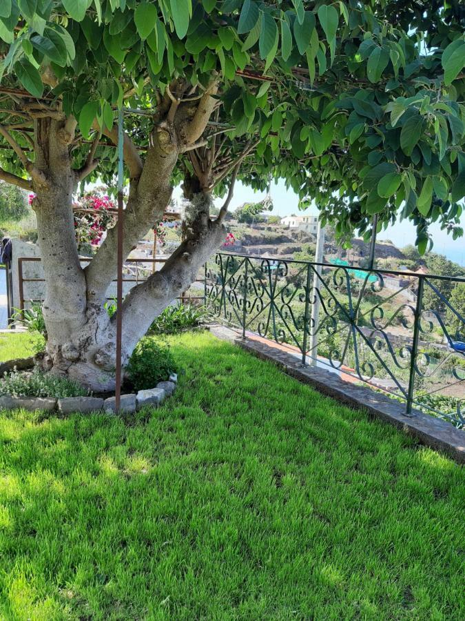 Casa Velha D Fernando E Casa Avo Augusta Guest house Ribeira Brava