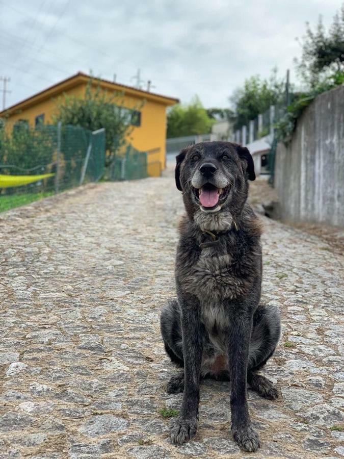 Casinha A Porta Arouca