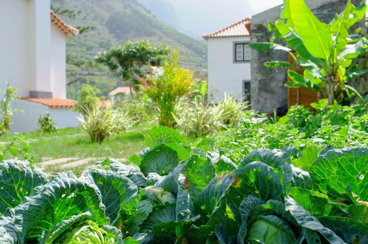 Casa Oliveira Esmeraldo - Holiday home