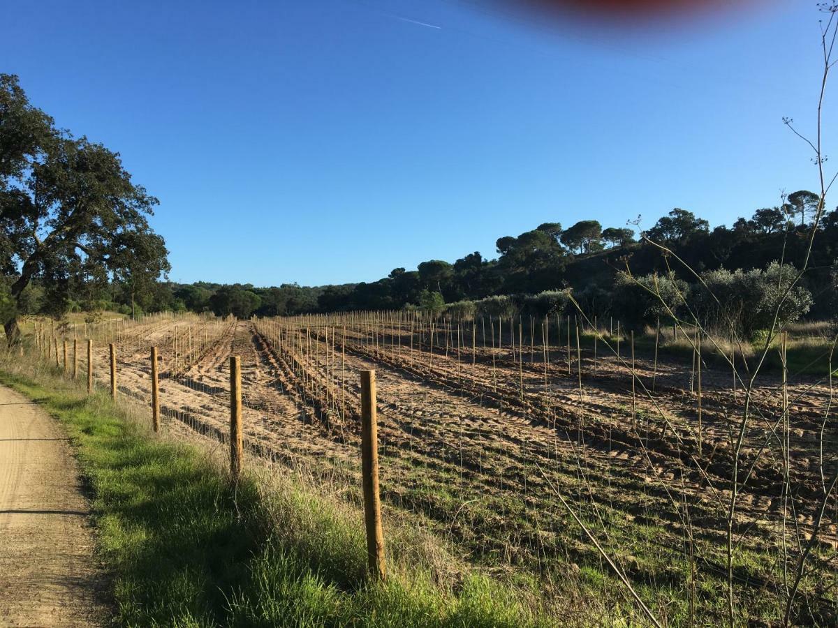 Montum Farm Living * Melides