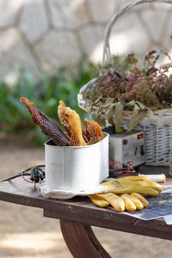 Quinta Da Foz Farm stay *