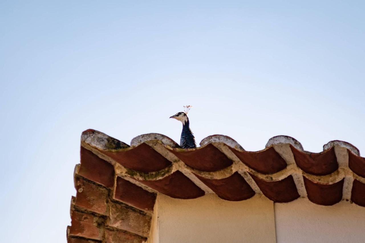 Farm stay Quinta Da Foz Foz do Arelho