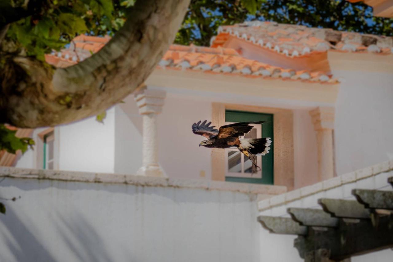 Quinta Da Foz * Foz do Arelho