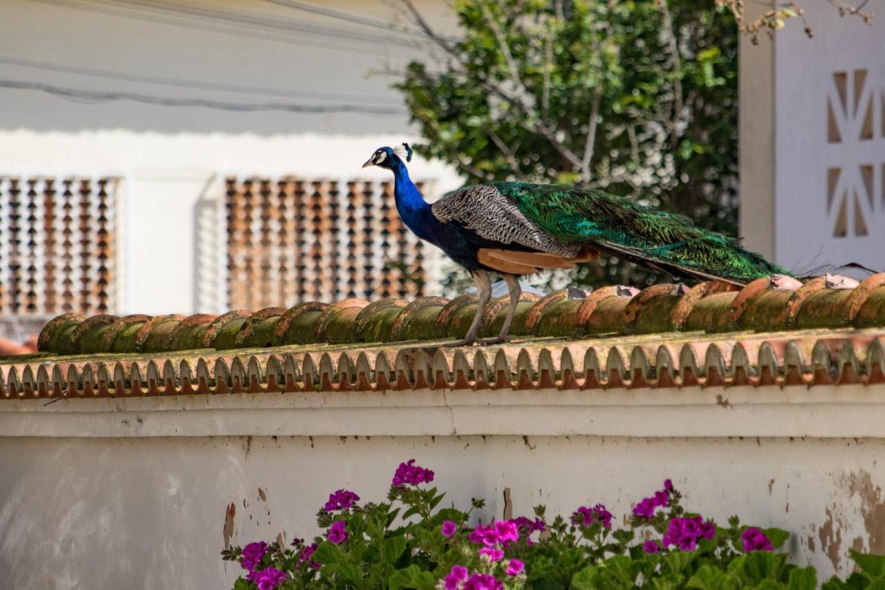 Farm stay Quinta Da Foz *