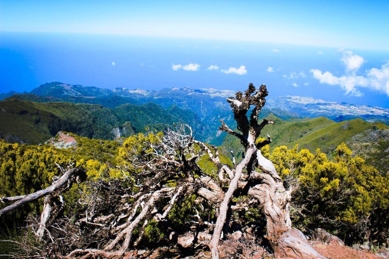 Scirocco Madeira - Ocean View Apartment Machico (Madeira)