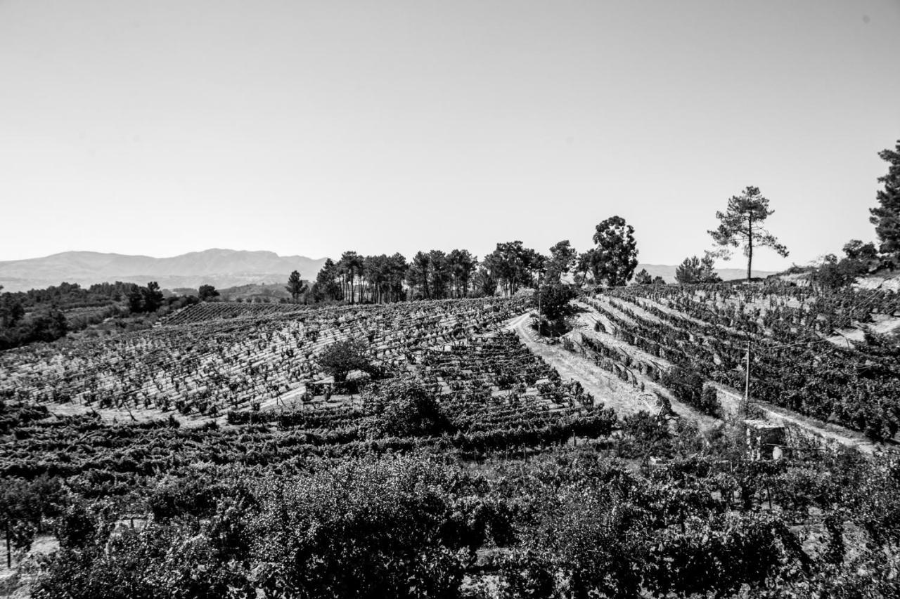 Guest house Quinta Da Estrada Winery Douro Valley