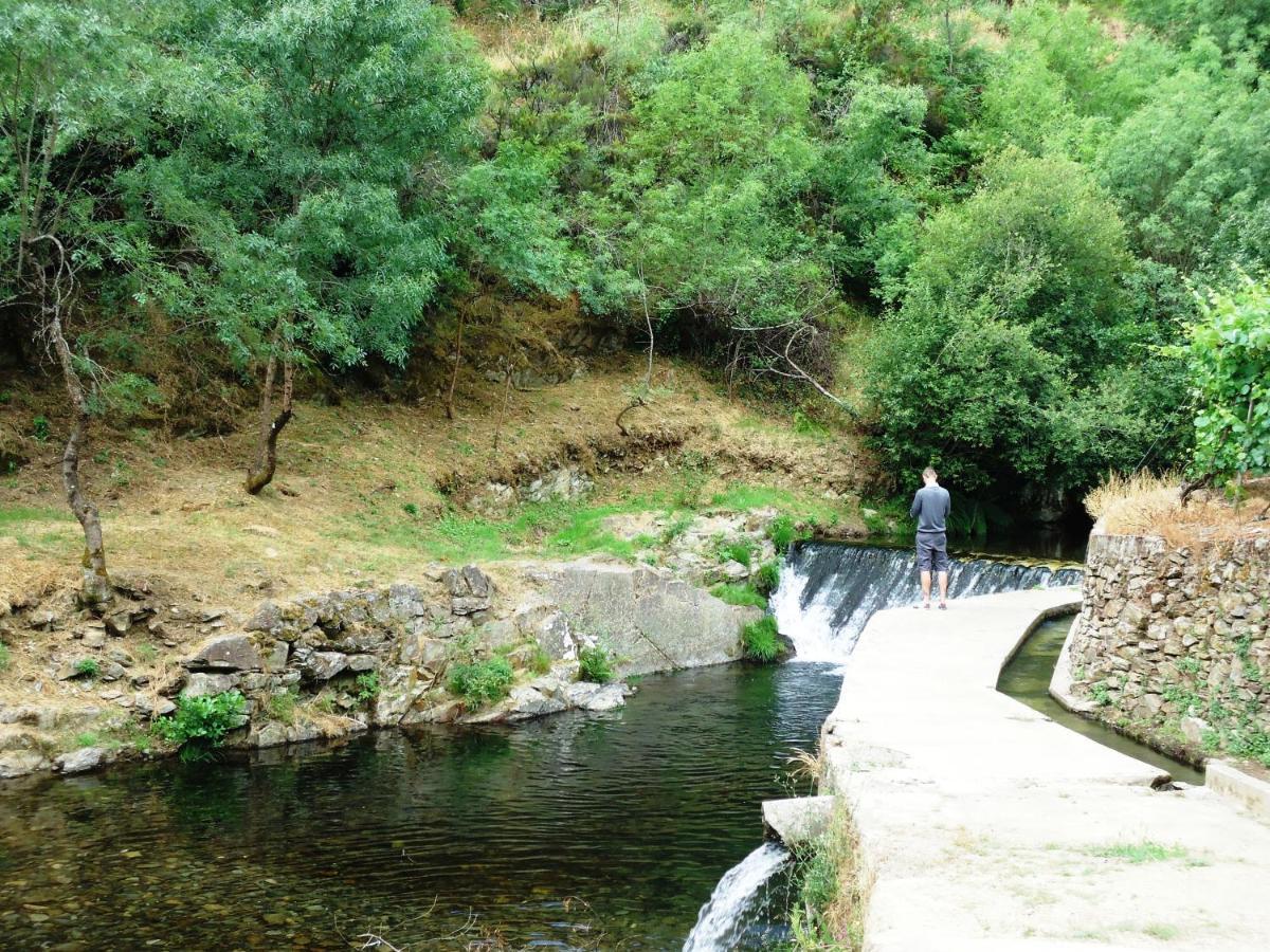Solar Quinta Da Portela - Douro Country house *