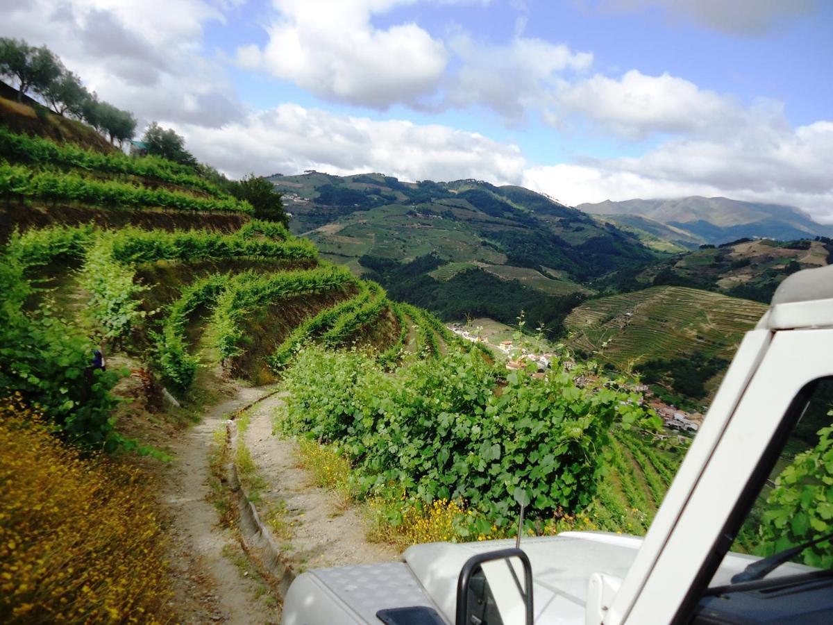 Solar Quinta Da Portela - Douro *