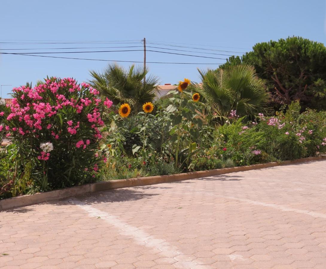 Guest house Residencia Quinta Do Poco
